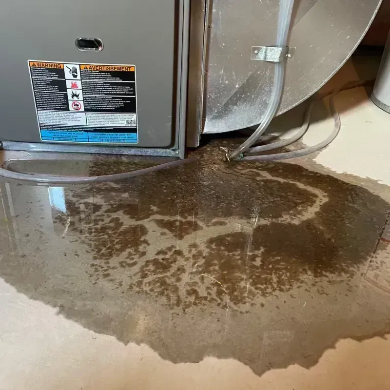 Appliance Leak Cleanup in Anchorage, KY